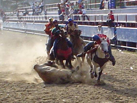 Maltrato a los animales y daños emocionales y físicos a menores en la tierra de Alí Primera