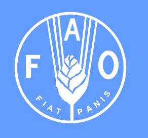 Organización de las Naciones Unidas para la Agricultura y la Alimentación (FAO, por su sigla en inglés)