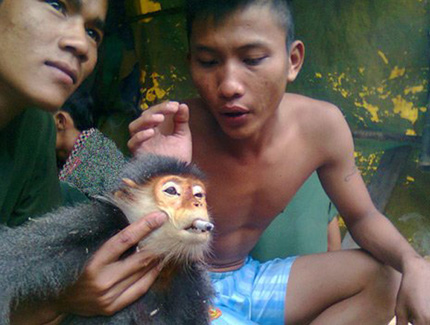 Las fotografías causantes del revuelo en Vietnam fueron subidas a Facebook