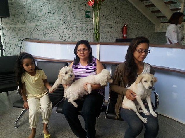 Mucha gente acudió a chequear a sus mascotas de forma gratuita