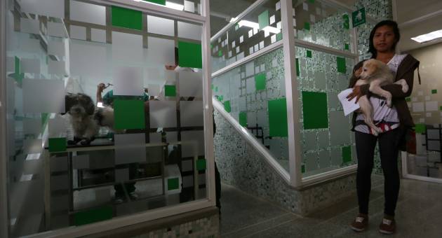 Atención gratuita en el CENTRO DE DIAGNÓSTICO