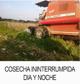 Comuna El Maizal (Lara / Portuguesa)