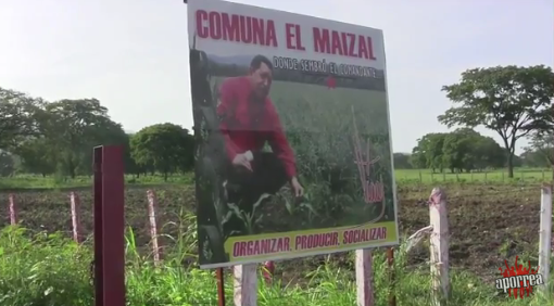Comuna El Maizal ejemplo de trabajo y eficiencia