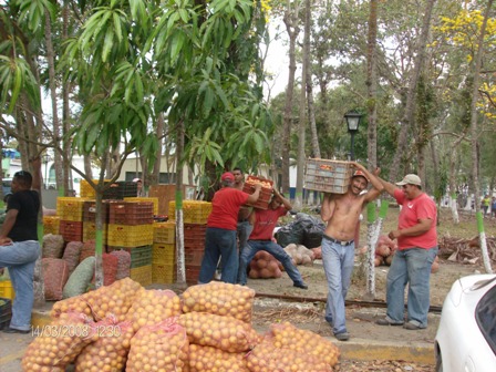 Campesinos de Yaracuy acopiando su propia producción en la UEMPPAT