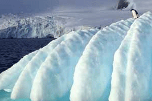 La Antártida es el continente más elevado y frío del planeta