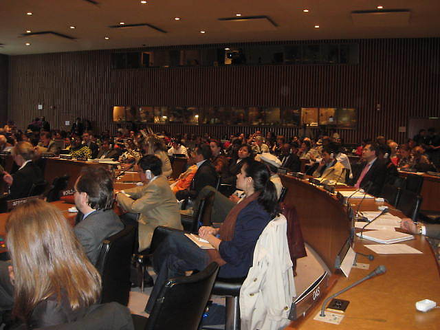 Aspecto de la plenaria en la ONU