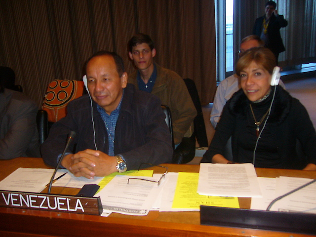 La delegación venezolana contó con el apoyo de la Misión de Venezuela ante la ONU. A la derecha la Embajadora Mahuampi de Ortiz