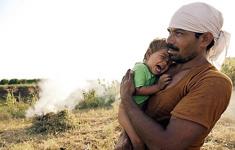 campesinos indios se suicidan tras utilizar cultivos genéticamente modificados