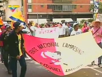 Los trabajadores de la tierra marcharon por Caracas en respaldo a las medidas de optimización del uso de la tierra y combate al latifundio.