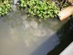 Río Neverí contaminado por aguas servidas y afectado por la bora