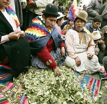 Los campesinos cocaleros de Cochabamba lo lograron: Nació la Coca Colla