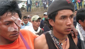 Desde el primer semestre de 2009 casi 10 mil indígenas han sido desplazados.