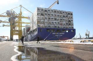 Putin y Rasmussen subieron a bordo de uno de estos barcos, "Maersk Niamey"