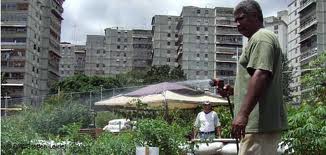 Agricultura Urbana en Caracas