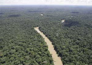 Chevron devastó la amazonía ecuatoriana