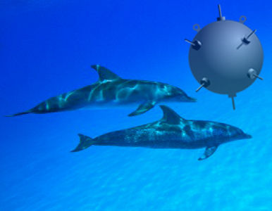 Delfines amaestrados para detectar minas en el mar