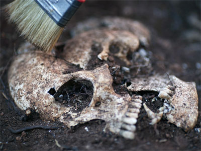 Uno de los cráneos humanos que se han encontrado en el cementerio municipal de Teba