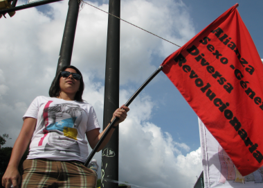Miembros de la ASGDR en Caracas