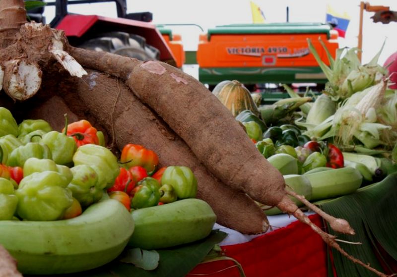 Gran Misión Agro Venezuela entregó financiamientos e instrumentos agrícolas en el Zulia