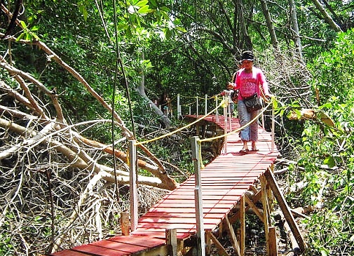 En el Zulia el puente peatonal de madera más largo del mundo