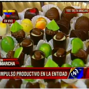 Cacao transformado en producto en la procesadora de Cacao Delta