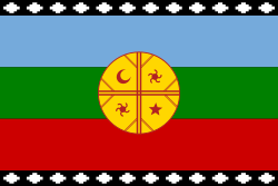 Wenofonde, bandera mapuche