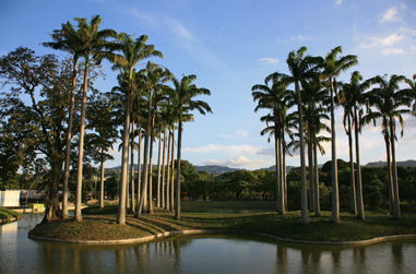 Parque Generalísimo Francisco de Miranda en Caracas