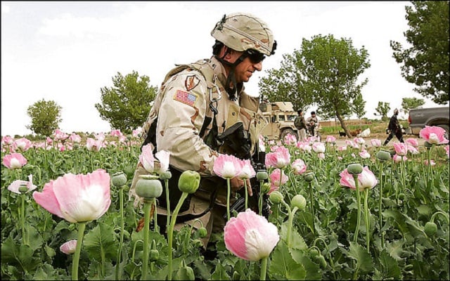 Cultivo de Opio en Afganistán