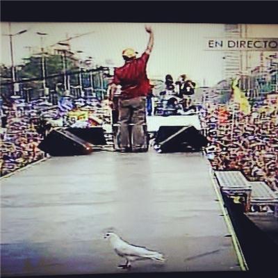 La paloma de Capriles está atrás... y en el piso