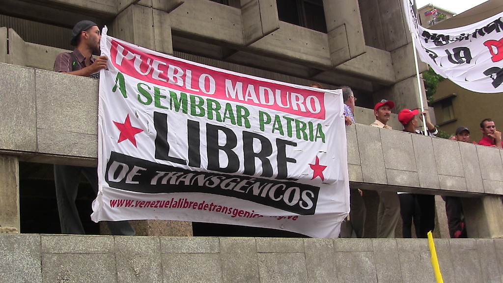 Marcha Nacional del Chavismo Popular