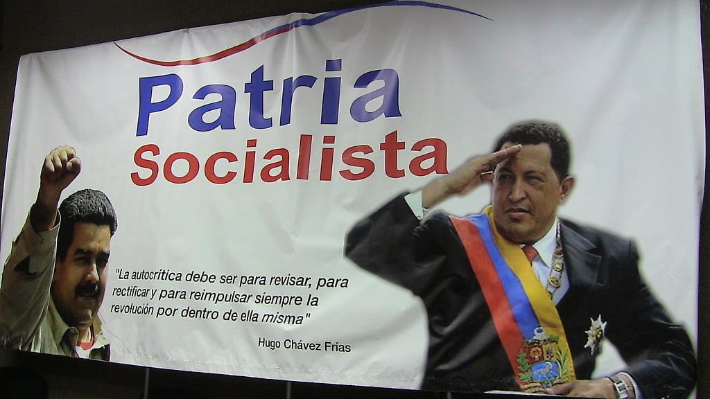 Plataforma Electoral de apoyo a Nicolás Maduro, Patria Socialista