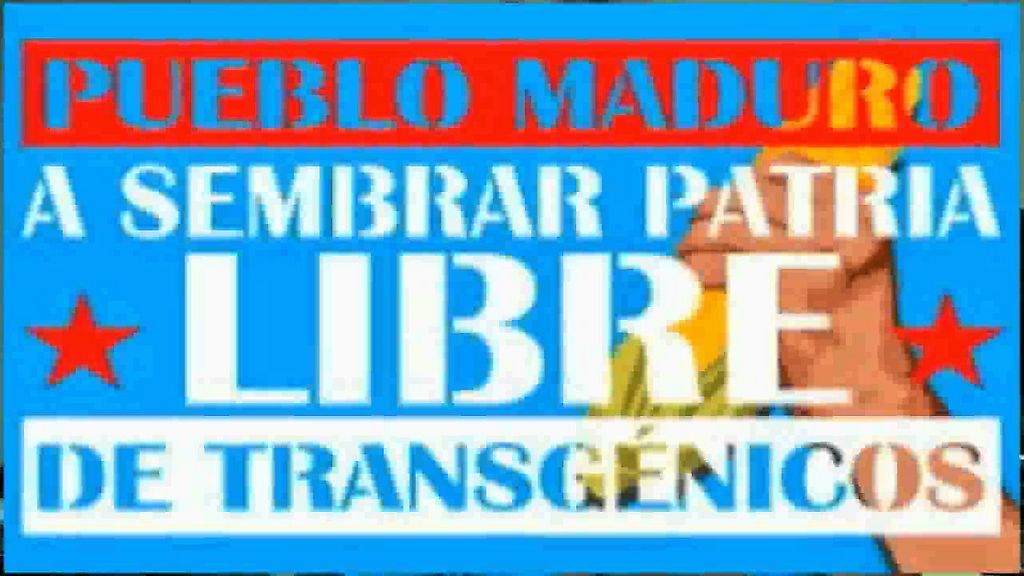 Pueblo Maduro a sembrar patria libre de transgénicos