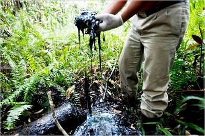 El daño ambiental que dejó la compañía en la Amazonía ecuatoriana ha sido constatado por decenas de personalidades políticas y artistas internacionales