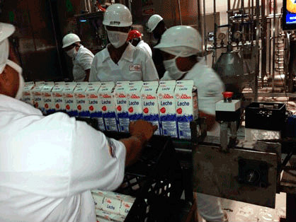 Procesamiento y envase de leche en Lácteos Los Andes. ¿Qué pasa cuando el producto cae en las cadenas de distribución?
