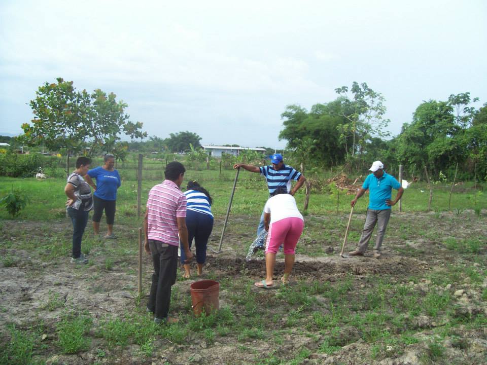 Productores rganizadoxs en Comunas en el municipio Libertador.