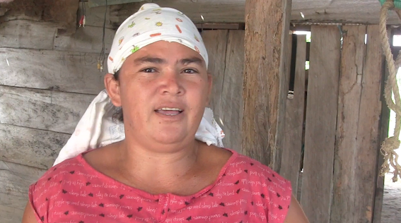 Dany Pineda, campesina y miliciana y su esposo luís Antonio Pabón, con sus hijos, están recién llegando, tienen tres años en la zona y ya forman parte de los productores de Curito Maporital del estado Barinas, producen leche, plátano, yuca y maíz.