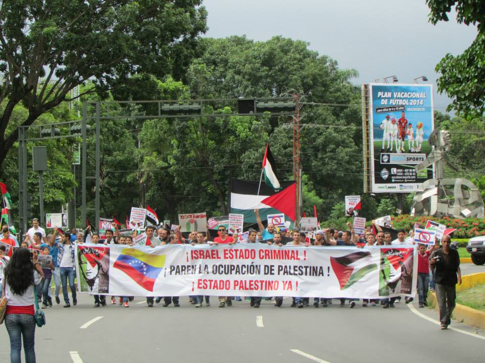Marcha contra la matanza en Gaza, desde elCentro Árabe -Palestino hacia la Redoma de Guaparo, Valencia.