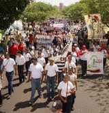 Marcha contra el cultivo de la malanga en la Sierra de Perijá