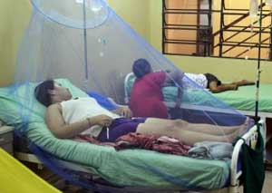 Los enfermos fue por contagiado en el extranjero y que la lluvia ha propiciado el brote de dengue.
