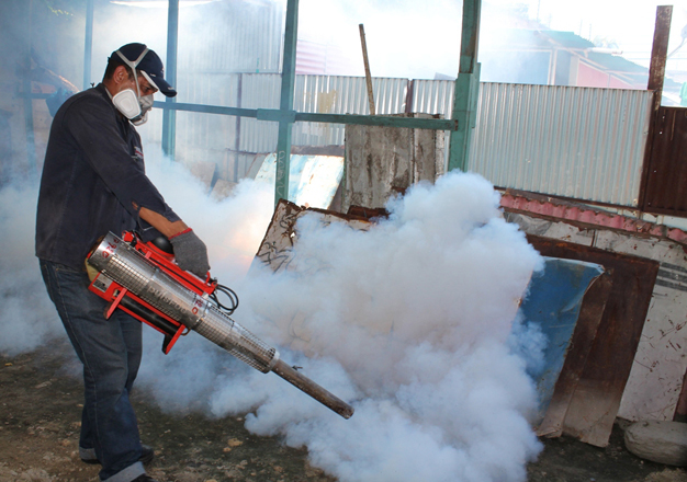 Fumigación contra el zancudo A. Albopictus o mosquito tigre asiático, portador del virus Chikungunya