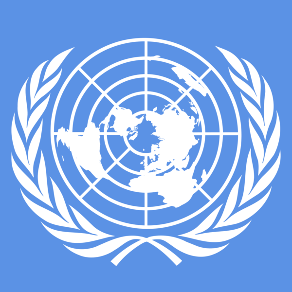 la organización de las Naciones Unidas (ONU)