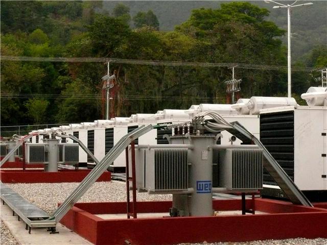Planta de Generación de Energía Eléctrica “Yorsiño Carrillo Torres”, ubicada en la avenida Los Próceres de la ciudad capital. Las cuales fueron instaladas, el 5 de abril de 2010 de manera provisional mientras la pasada emergencia eléctrica nacional.