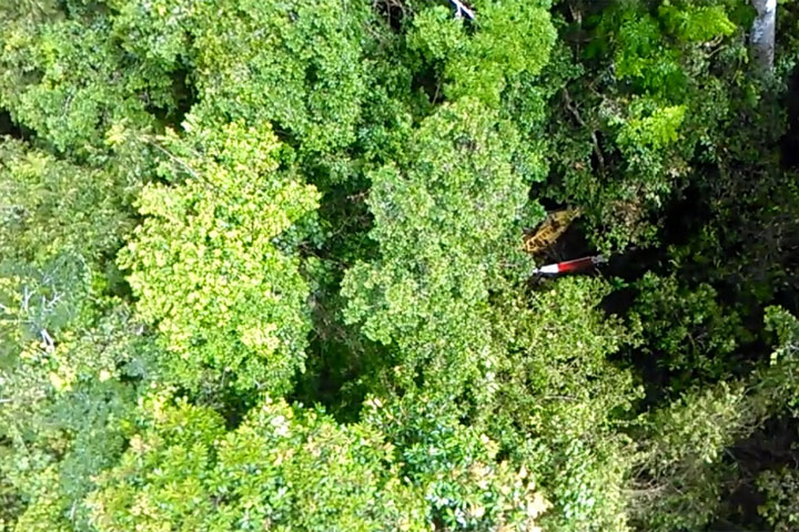 Imagen del sitio de ubicación. Entre la espesura de la selva apenas puede verse parte del helicóptero