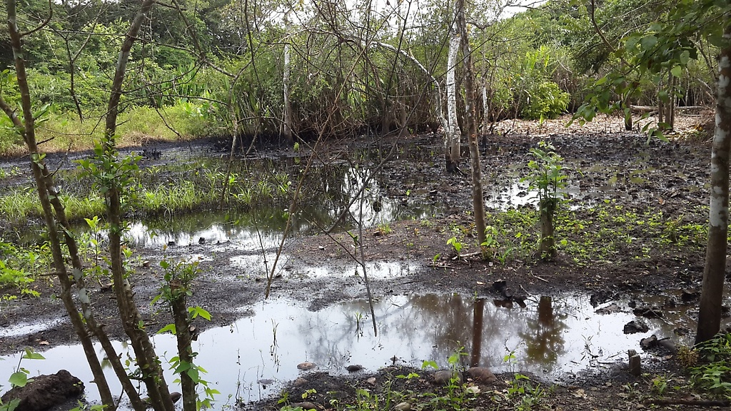 Aguas contaminadas con ácido sulfúrico y otros tóxicos que vierten indiscriminadamente los responsables de mantener en funcionamiento los pozos de petróleo de PDVSA.  Eje Torunos – San Silvestre