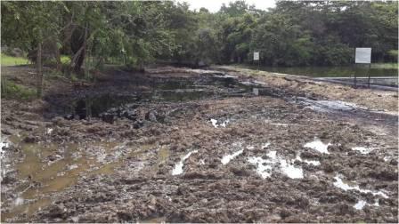 Escasos  500 metros faltan para que este venenoso batido de productos químicos caiga en el río Santo Domingo.