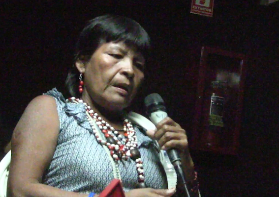 Lucia Martínez Romero durante su intervención en el Seminario Nacional de Marea Socialista