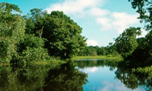Estado Amazonas (referencial)
