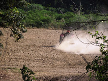 Acondicionamiento del terreno para la siembra de maíz blanco en la la Comuna de los Valles de Tucutunemo, estado Aragua