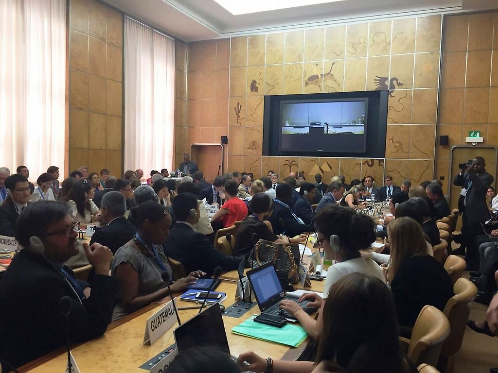 En la ONU, Venezuela participó en Panel de Alto Nivel sobre respuesta global a crisis de Salud