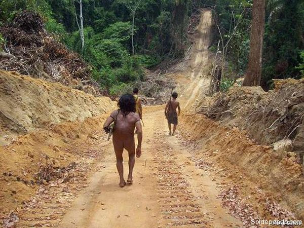 Destrozos ambientales incalculables en la Guyana Venezolana